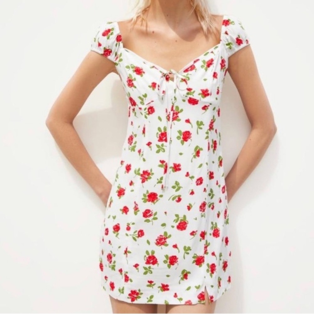 Zara Rose Print Floral Mini Dress